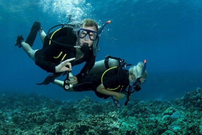 Beginners Scuba Diving Experience with Lunch - Sharm El Sheikh