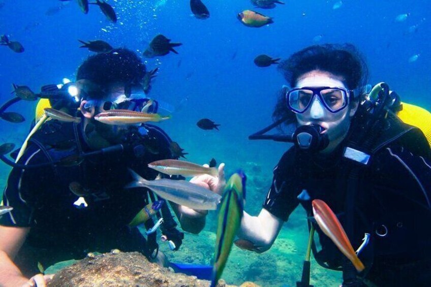 Beginners Scuba Diving Experience with Lunch - Sharm El Sheikh