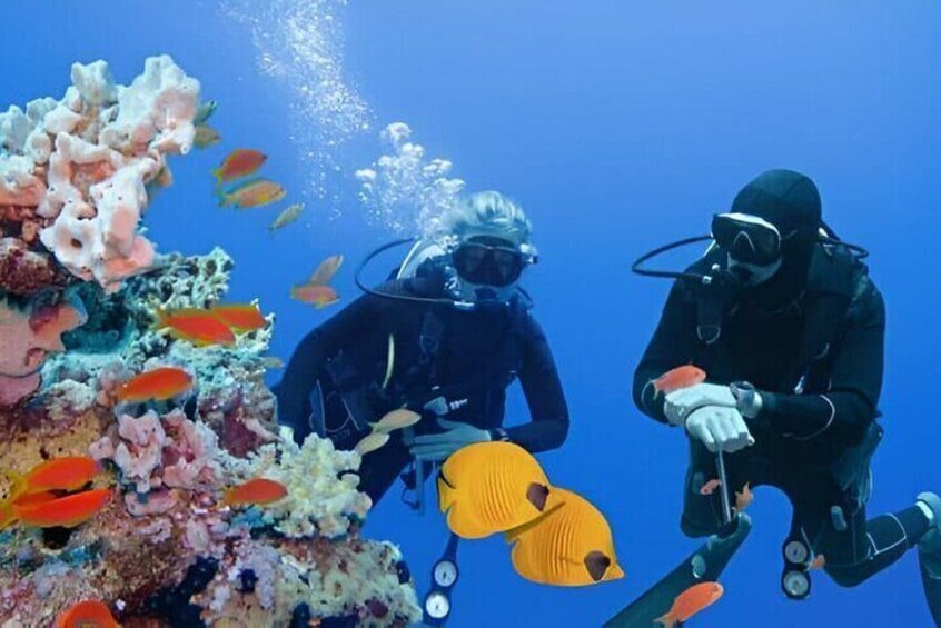 Beginners Scuba Diving Experience with Lunch - Sharm El Sheikh