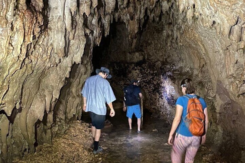 Cole's Cave Spelunking Adventure