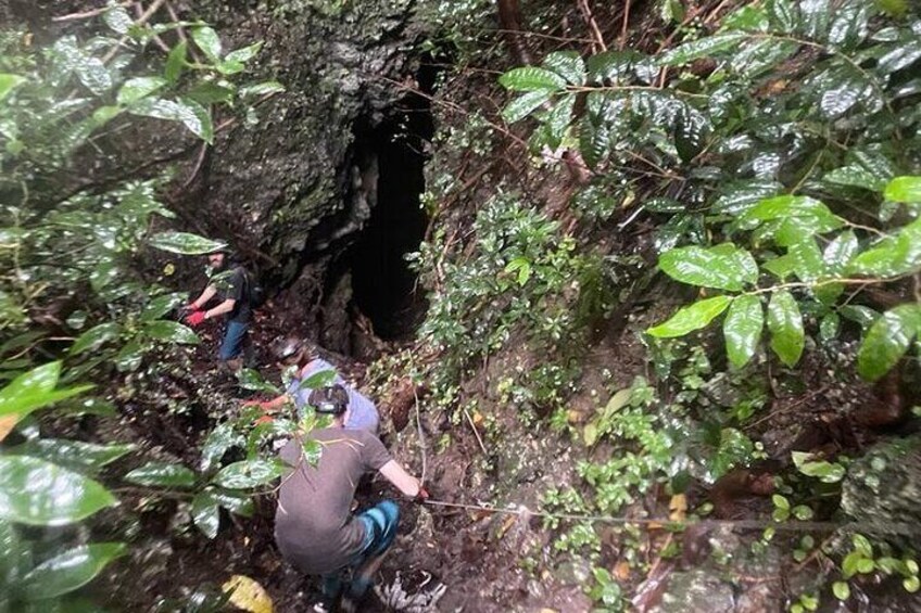 Cole's Cave Spelunking Adventure