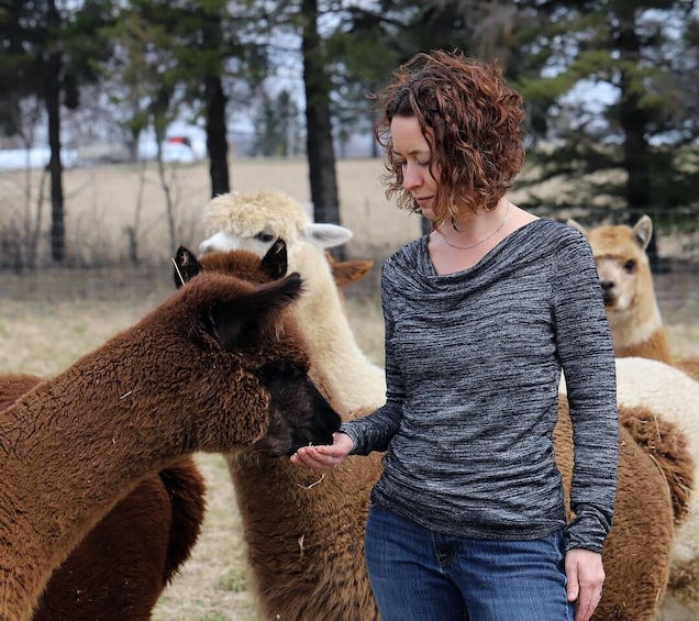 Picture 4 for Activity Oxford County, ON: Alpaca Farm Walk & Learning Experience