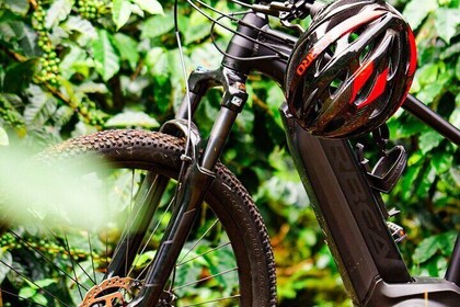 Private E-Bike Coffee Tour in Boquete