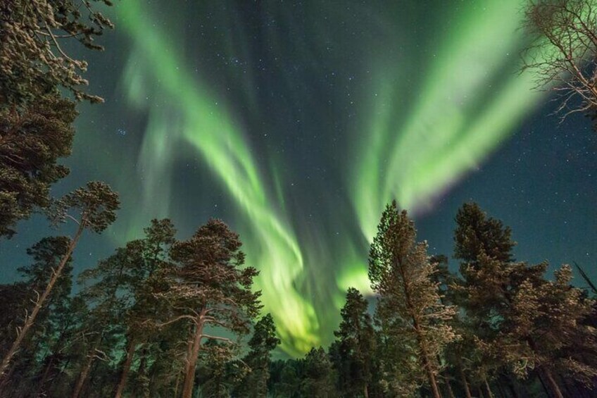 Night Hiking in Rovaniemi