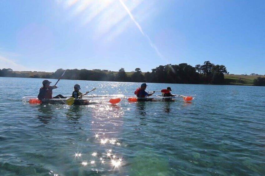 Sea Your Bottom. Clear Bottom Kayak Adventure