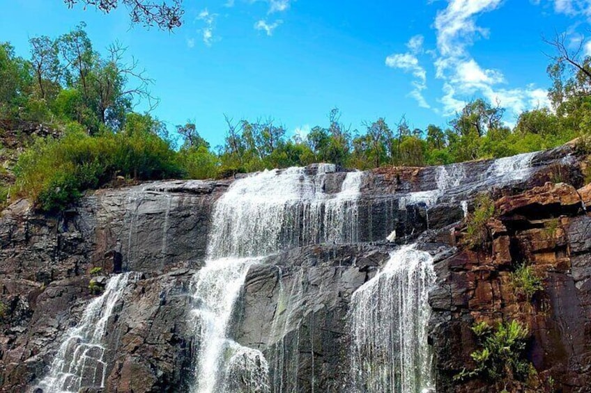 Walk from Zumsteins to MacKenzie Falls