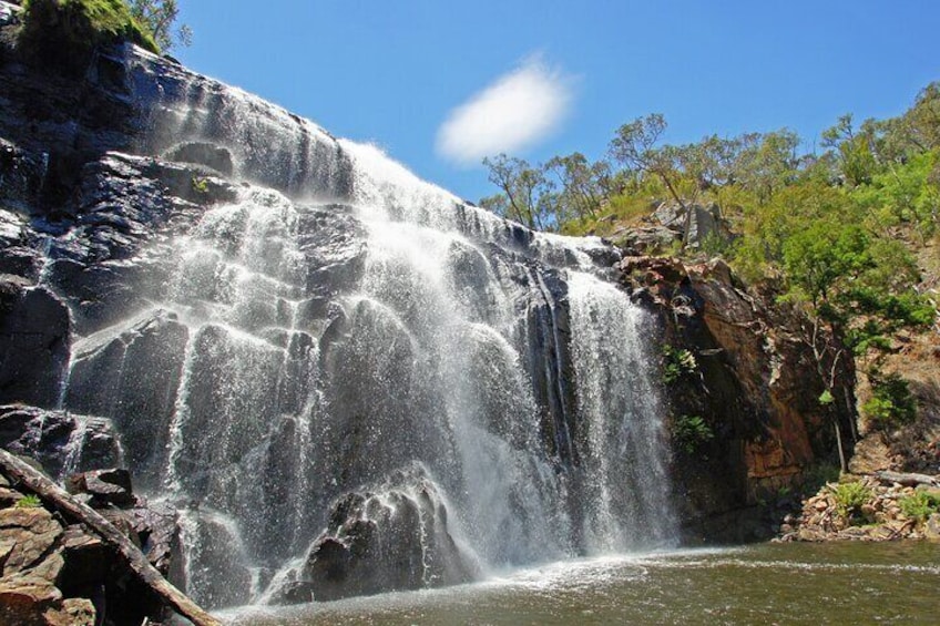 Walk from Zumsteins to MacKenzie Falls