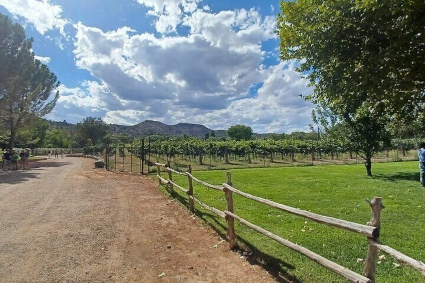 The Classic Sedona Wine Tour