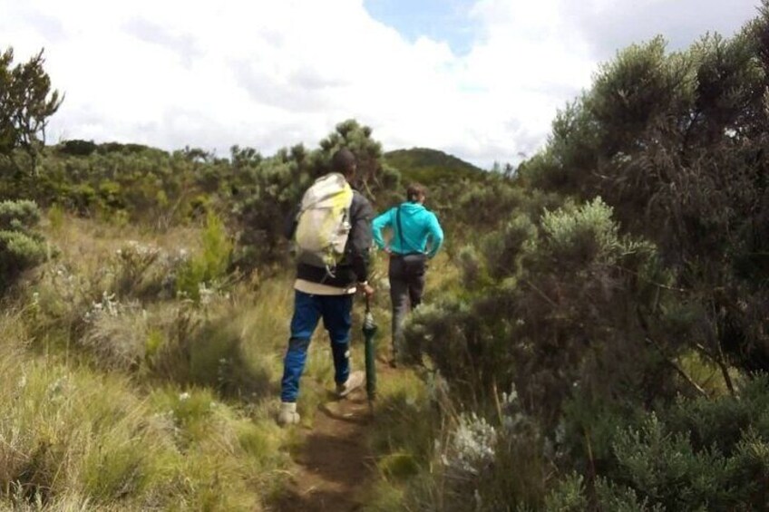 Day Hike to Mount Kilimanjaro, Local experience and Chagga Culture