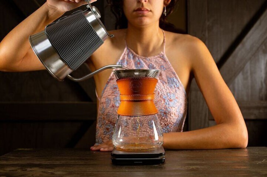 Specialty Coffee Brewing Classes