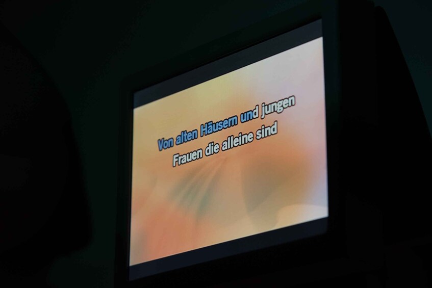 Picture 4 for Activity Hamburg: 1.5-Hour Karaoke Bus Tour