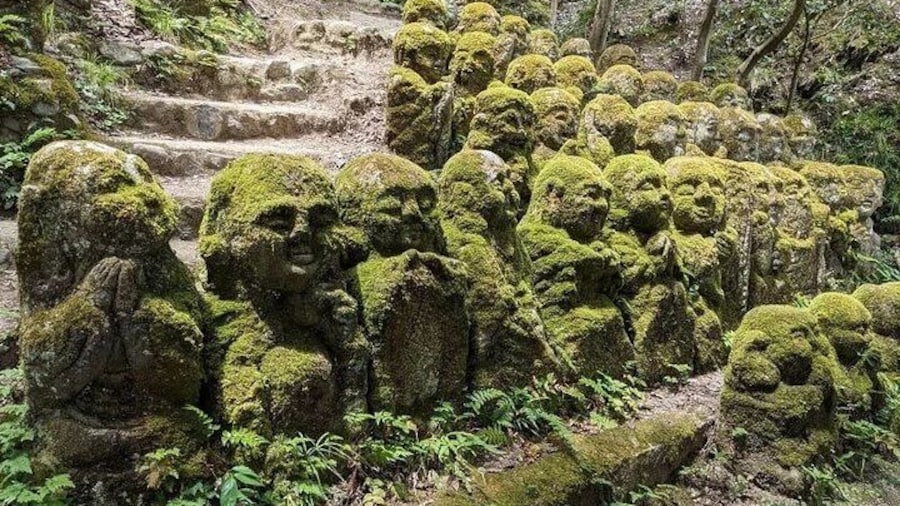 Otagi Nenbutsu Temple and Arashiyama Bamboo Forest Tour