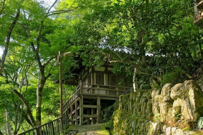 Otagi Nenbutsu Temple and Arashiyama Bamboo Forest Tour