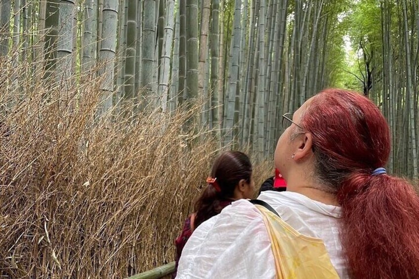 Otagi Nenbutsu Temple and Arashiyama Bamboo Forest Tour