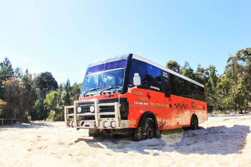 Picture 3 for Activity Gold Coast: Moreton Island Day Trip with Snorkelling