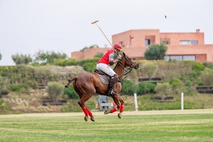 Marrakech Polo Sport - The kings Sport