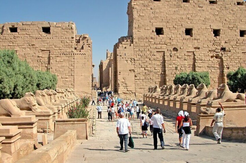 Karnak and Luxor Temples Guided Tour