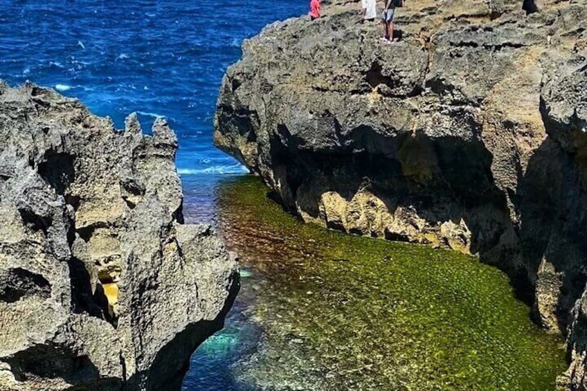 West Nusa Penida Ubud Bali Private Tour