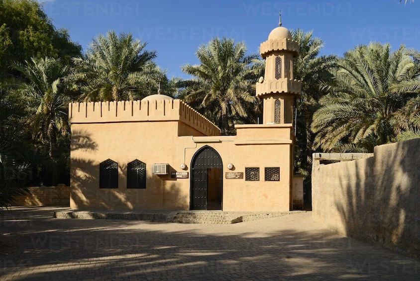 Al Ain Oasis Tour from Abu Dhabi on Sharing Basis