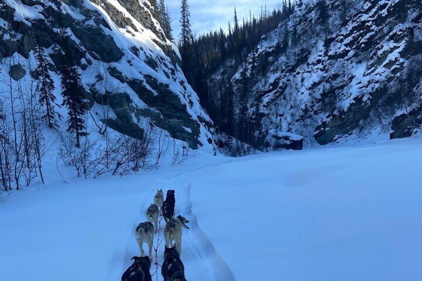 Private One Week Husky Adventure in Alaska with Your Own Dog Team