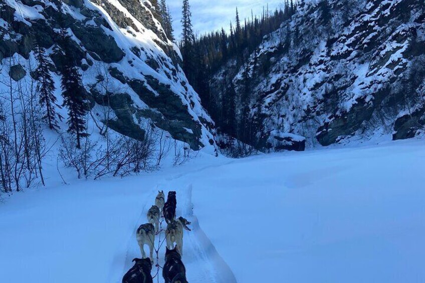 Private One Week Husky Adventure in Alaska with Your Own Dog Team