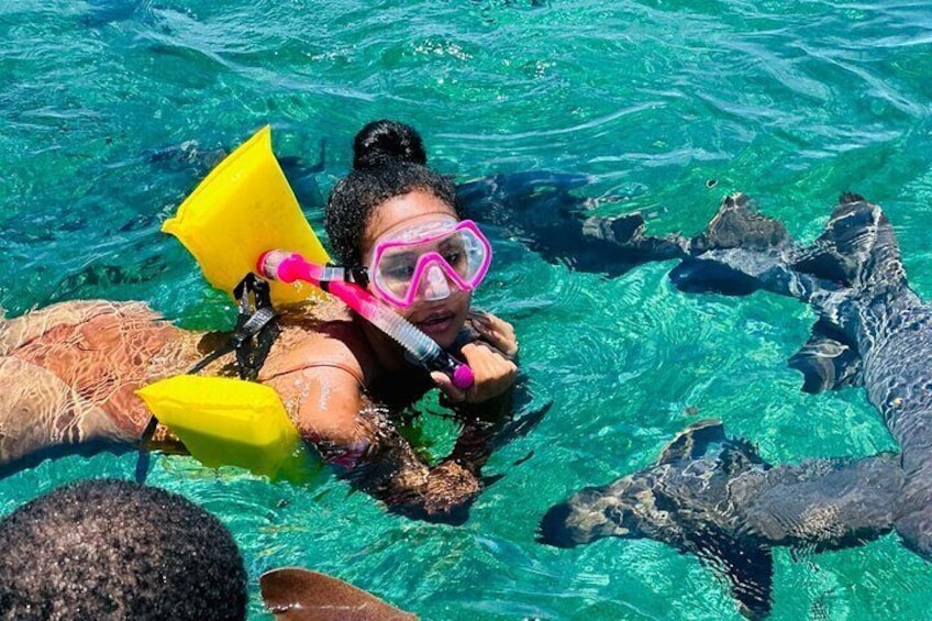 Full Day Private Snorkeling Tour