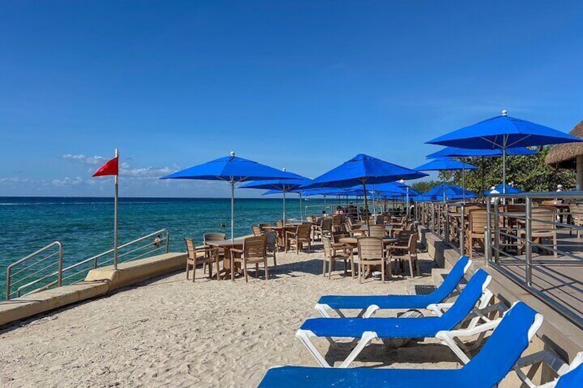 Money Bar Day Pass with Snorkel & Mexican Lunch