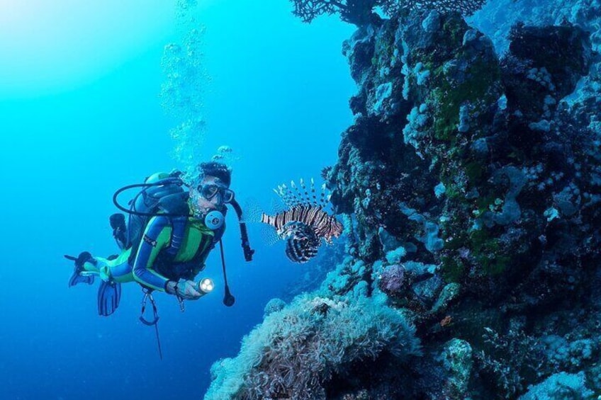 PADI Open Water Diving Course with Transfer - Sharm El Sheikh