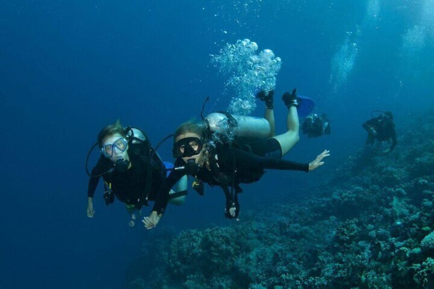 PADI Open Water Diving Course with Transfer - Sharm El Sheikh