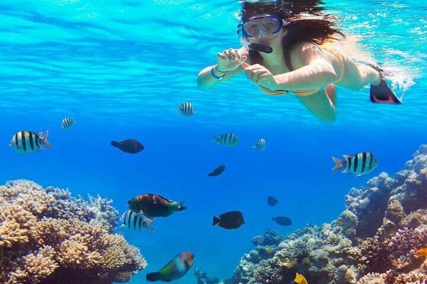 Magawish Island Private Speedboat Trip & Turkish Bath - Hurghada