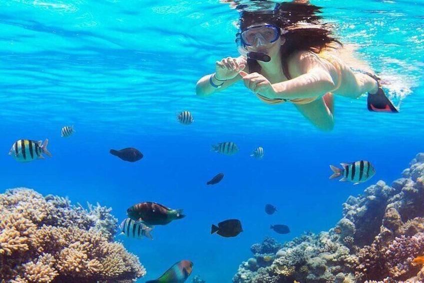 Private Speedboat & Parasailing to Magawish Island - Hurghada