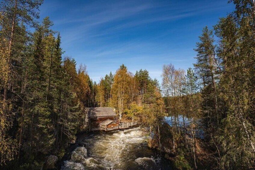 Oulanka National Park Private Tour with Photography Guide