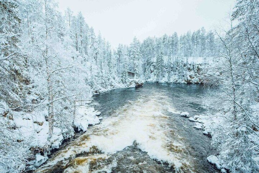 Oulanka National Park Private Tour with Photography Guide