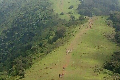 Private Hiking At Ngong Hills