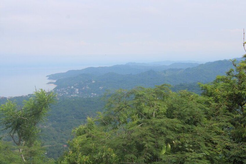 Private Tour of Cerro del Mono