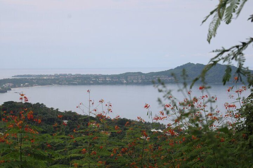 Private Tour of Cerro del Mono
