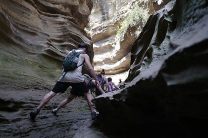 Day Tour To Lake Naivasha, Crescent Island And Hell Gate Park