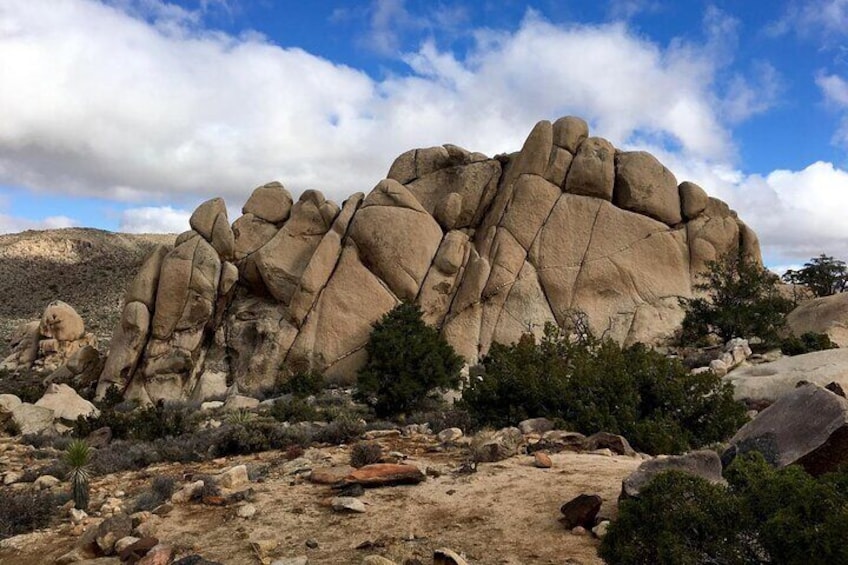 Two Day Camping and Hiking in Joshua Tree National Park