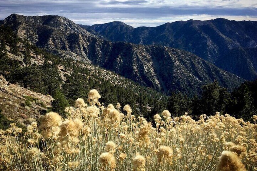 From San Diego: 2-Day Exploring & Hiking in Joshua Tree