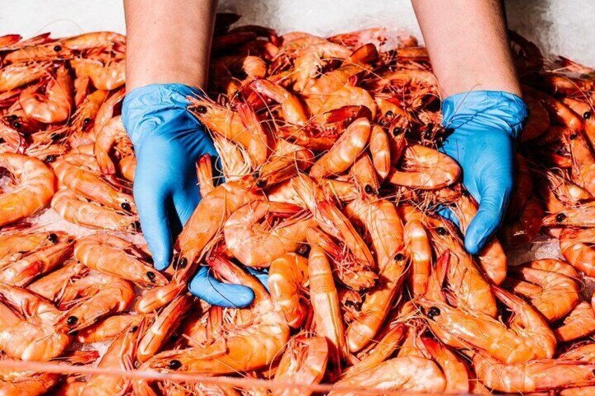 Taste of Sydney Fish Market Food Tour