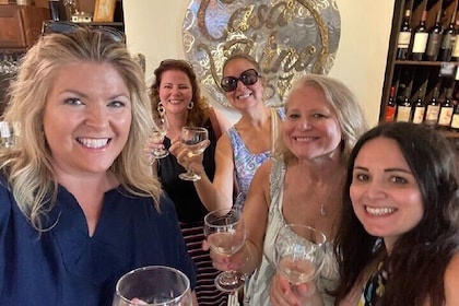 Mobile Wine Tasting and Food Pairing Tour St. Augustine
