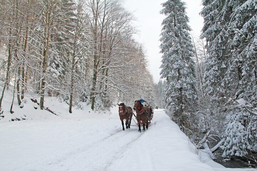 Zakopane Horse-Drawn Rides with Local Guide and Food Tasting