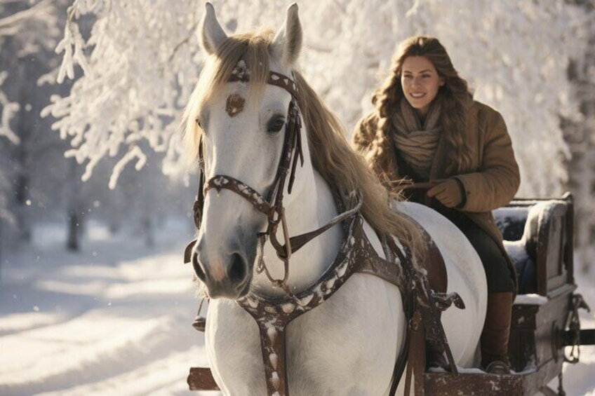 Zakopane Horse-Drawn Rides with Local Guide and Food Tasting