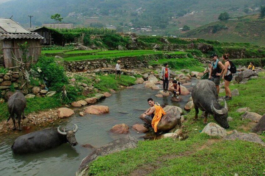 Full Day Sapa Trekking and Cooking Class