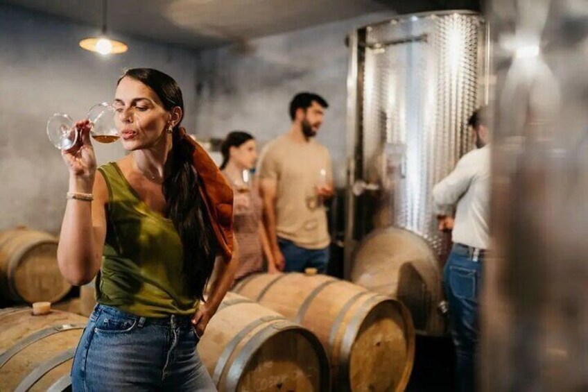 Kakheti Private Tour with Wine Tasting from Tbilisi