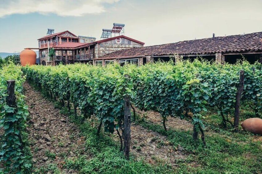 Kakheti Private Tour with Wine Tasting from Tbilisi