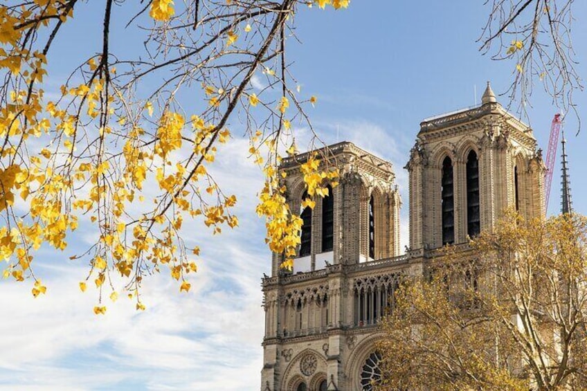 Paris Chauffeur Driven Sightseeing Tour & Seine River Cruise 4+1h