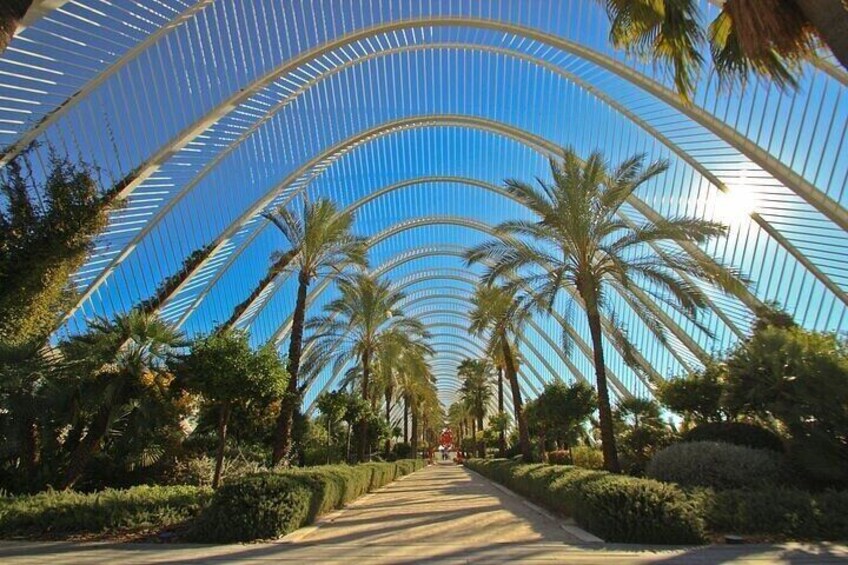 Valencia all in one beaches old town city of arts by e-bike.