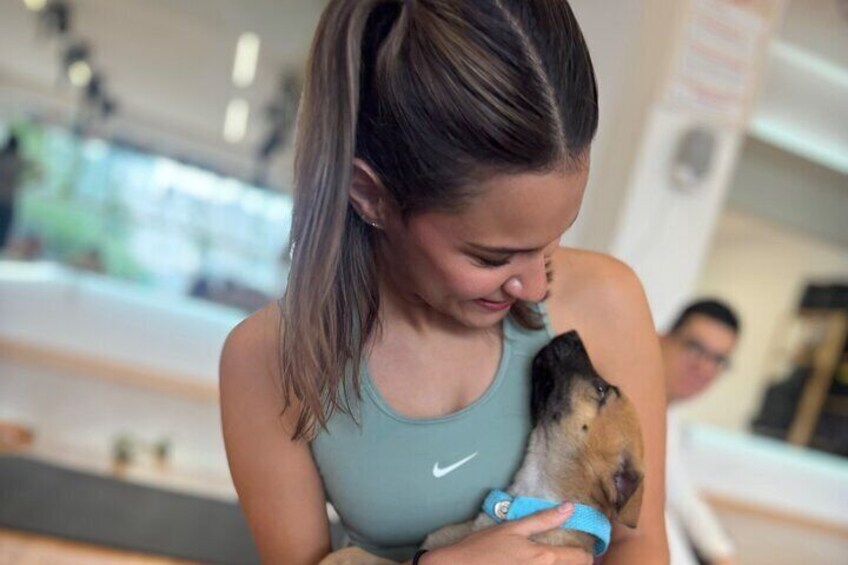 Yoga Activity with Puppies in Mexico City