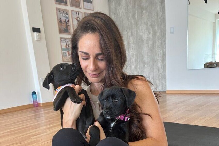 Yoga Activity with Puppies in Mexico City